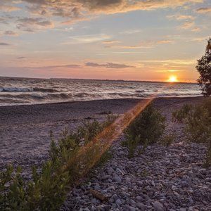 Meet your Posher, Coco